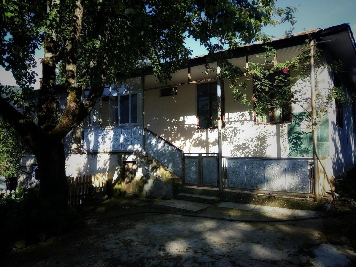 Guest House Noe Kveda Chkhutuneti Extérieur photo